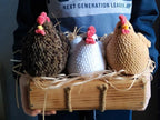 Plush Chicken Amigurumi Crochet Pattern PDF Download – Cute Toy